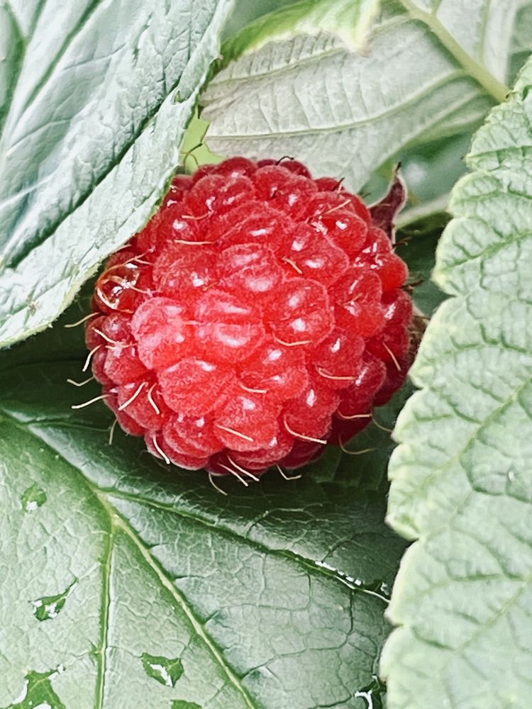 Photograph by Ирина Селиверстова