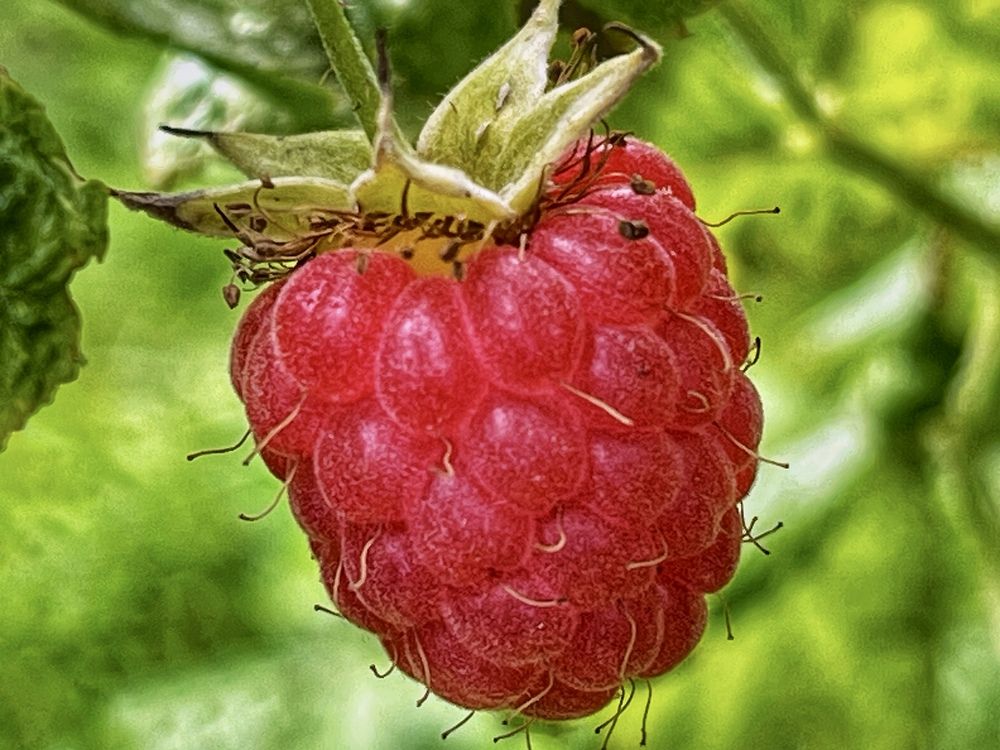 Photograph by Ирина Селиверстова