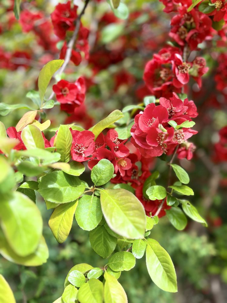 Photograph by Ирина Селиверстова