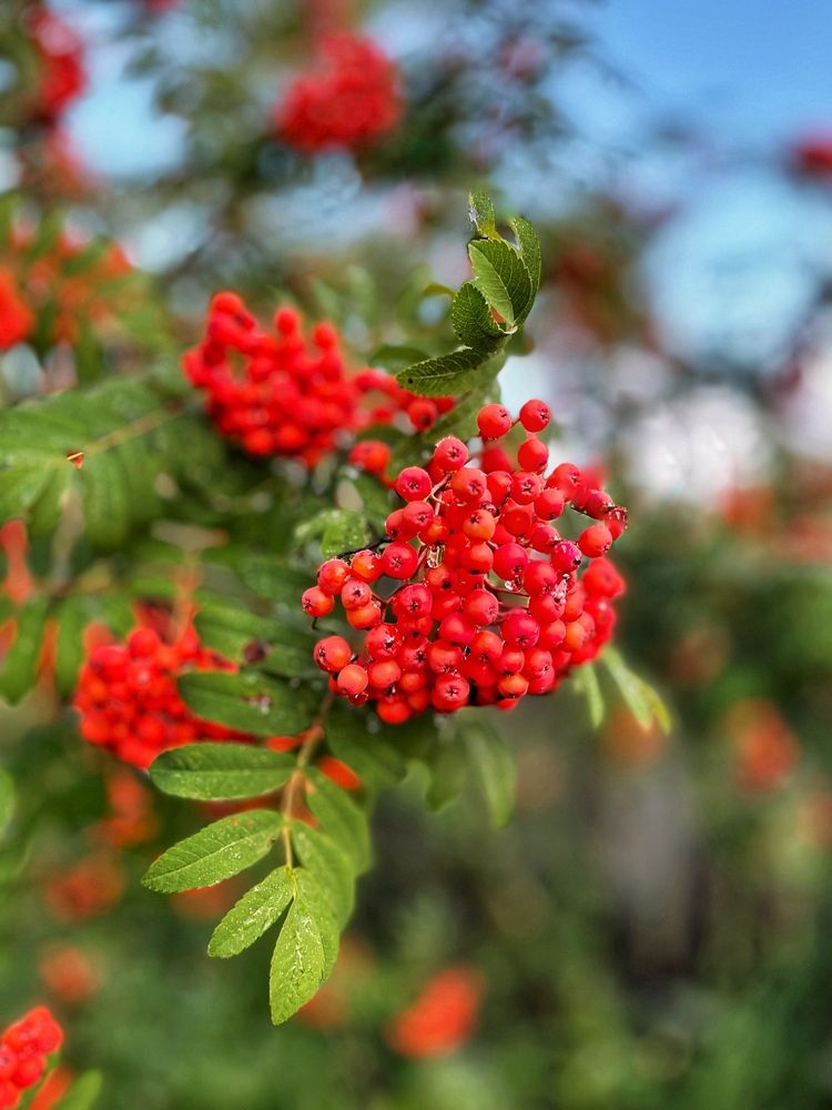 Photograph by Ирина Селиверстова