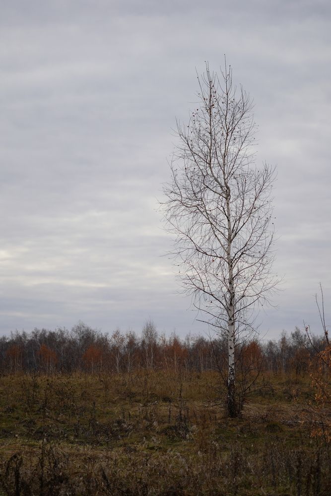 Photograph by Алексей Поликарпов