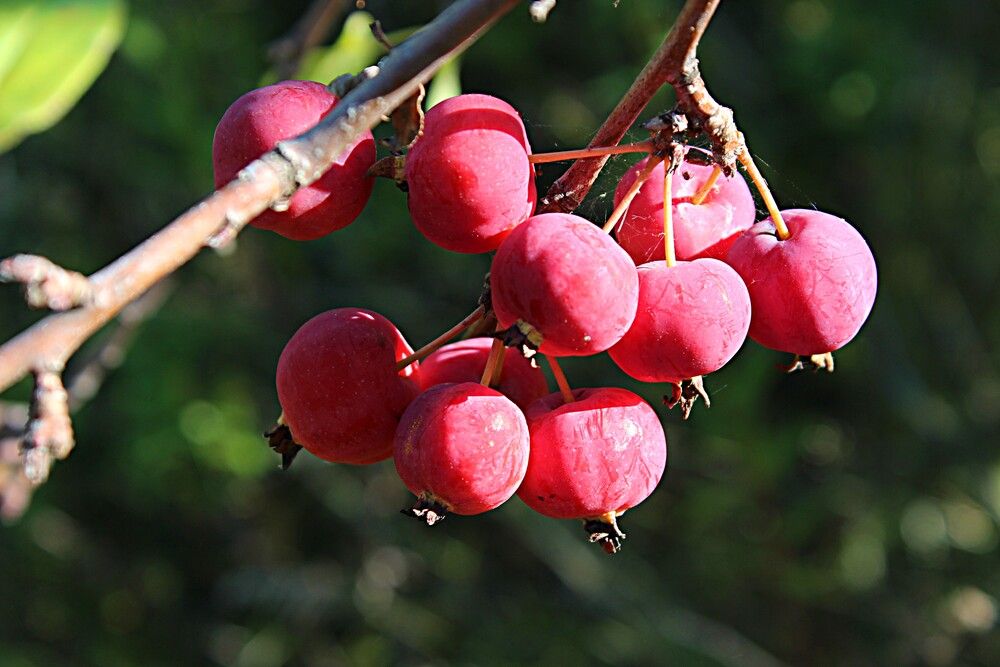 Фотография автора Марина Горбулина