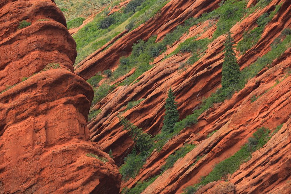 Photograph by Ирина Сушко