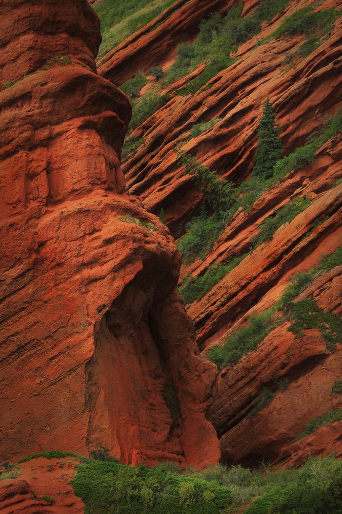 Photograph by Ирина Сушко