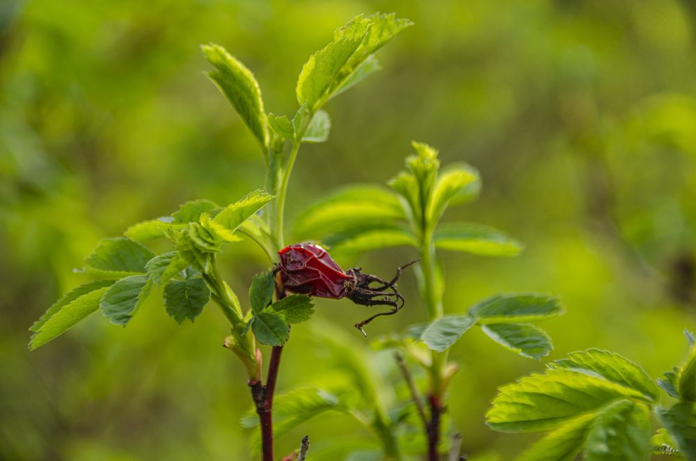 Photograph by Надежда Михайлина