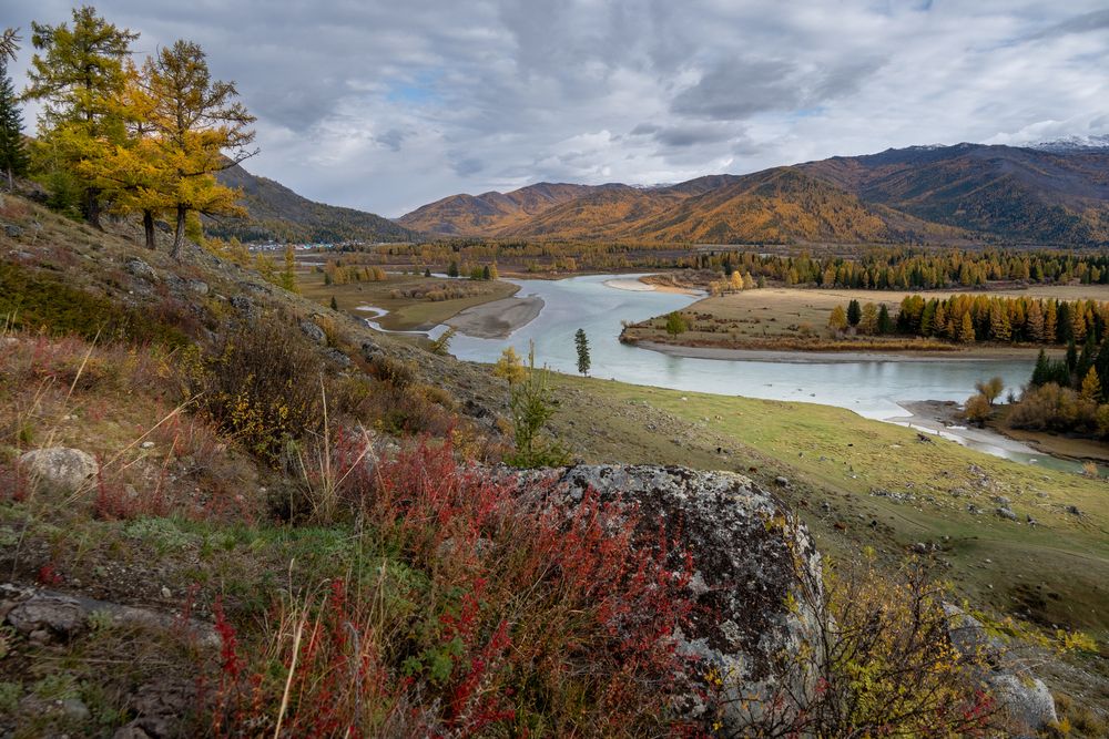 Photograph by Алексей