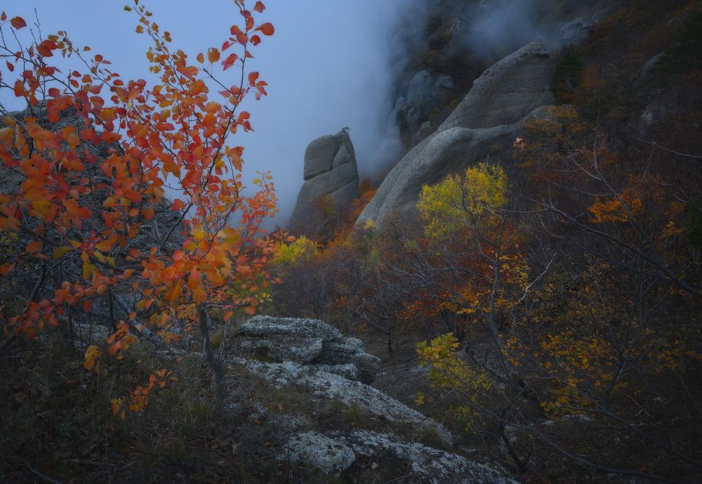 Фотография автора Гордиенко Анатолий