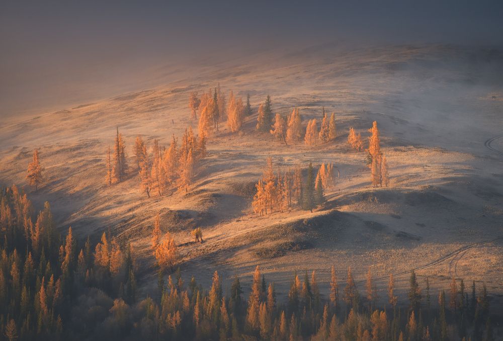 Photograph by Гордиенко Анатолий