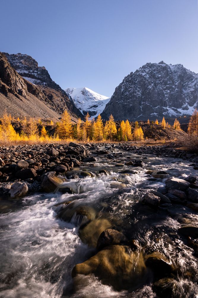 Фотография автора Алексей