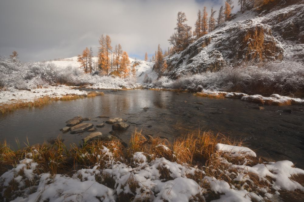 Photograph by Гордиенко Анатолий