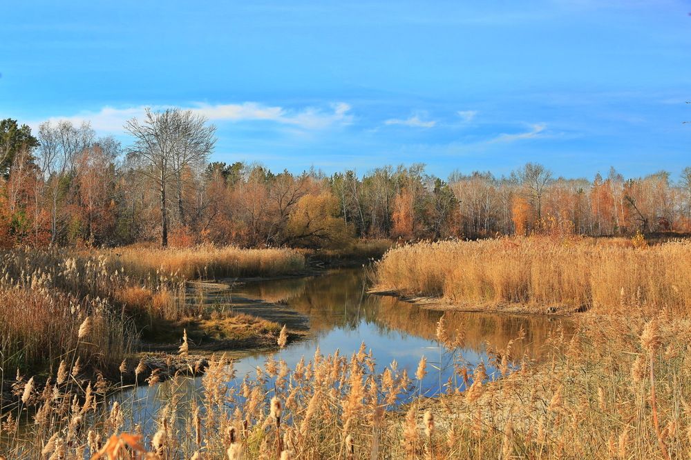 Photograph by Ирина Сушко