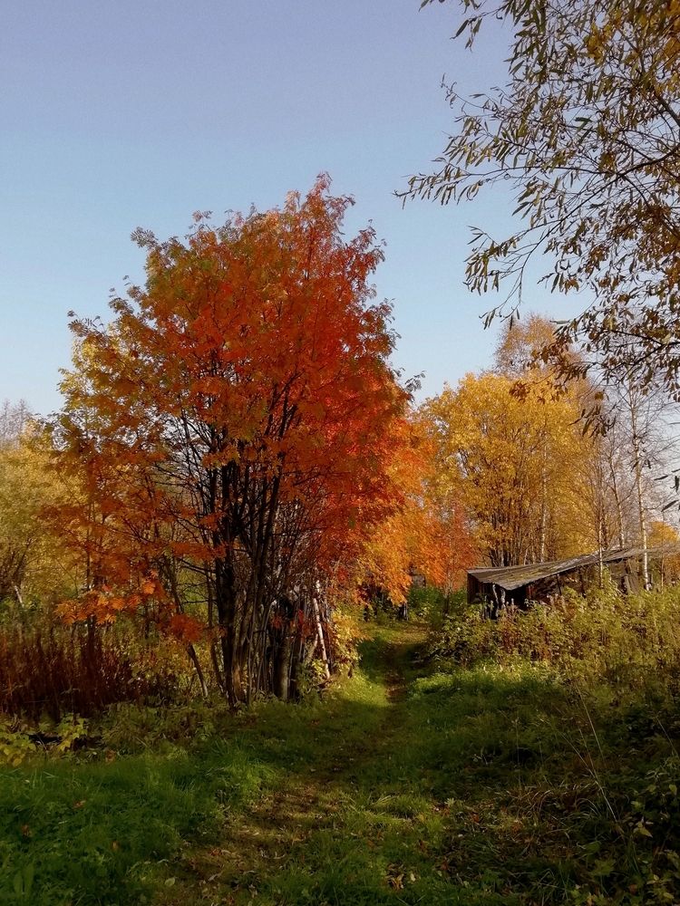 Photograph by Наталья Горовых