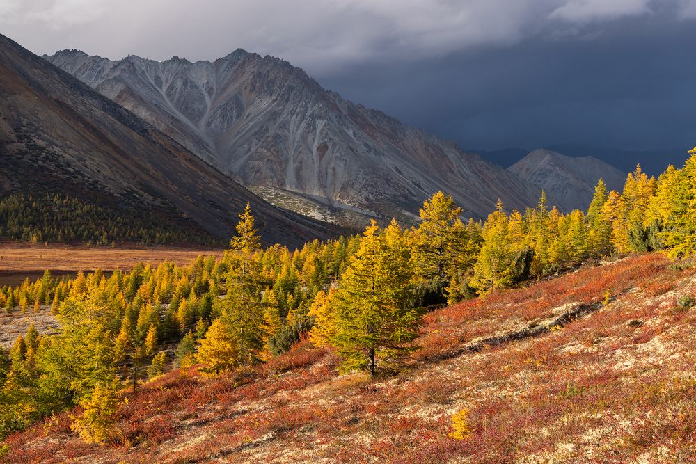 Photograph by Антон Селезнев