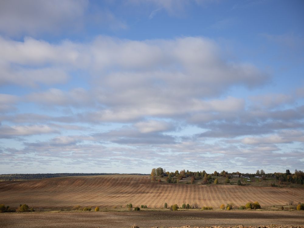 Photograph by Екатерина Мельникова