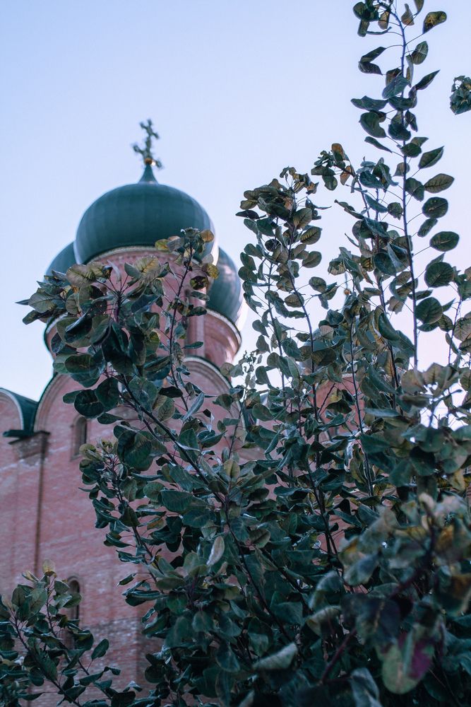 Photograph by Рената Тишина