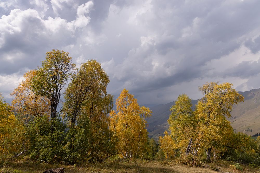 Photograph by Антон Селезнев