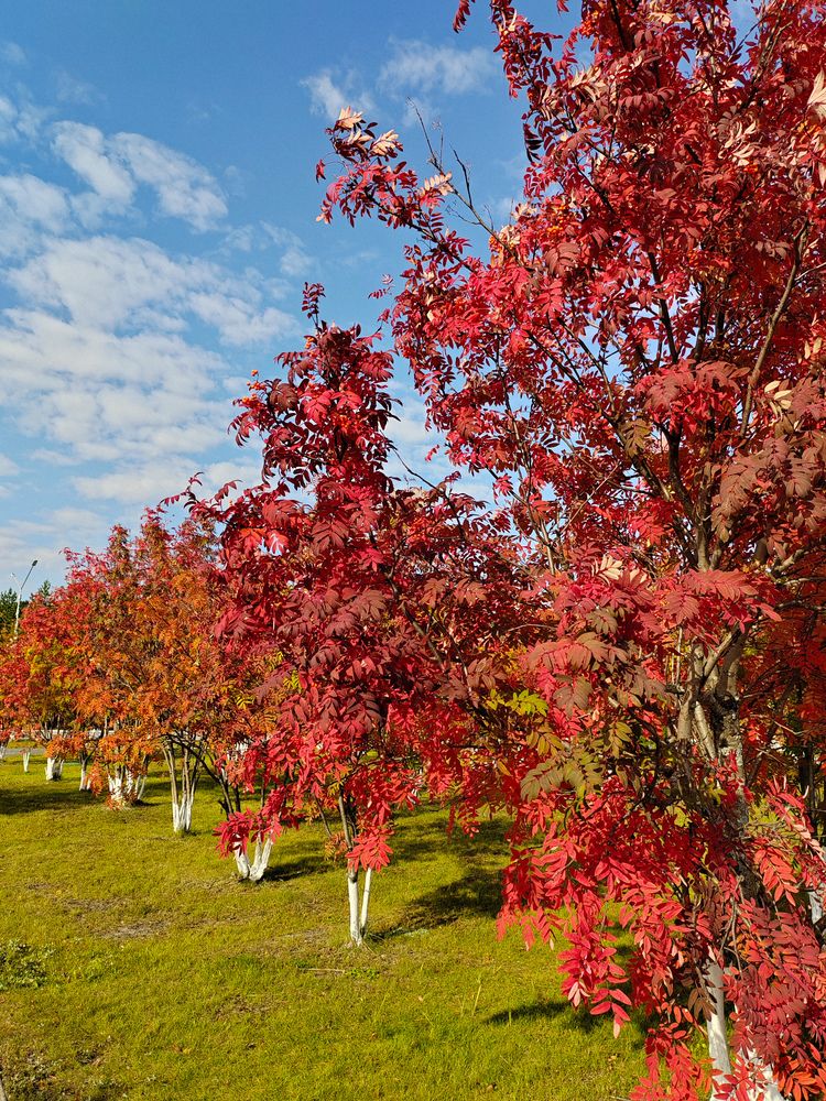 Photograph by Екатерина Алексеева