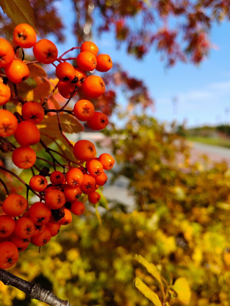 Photograph by Екатерина Алексеева