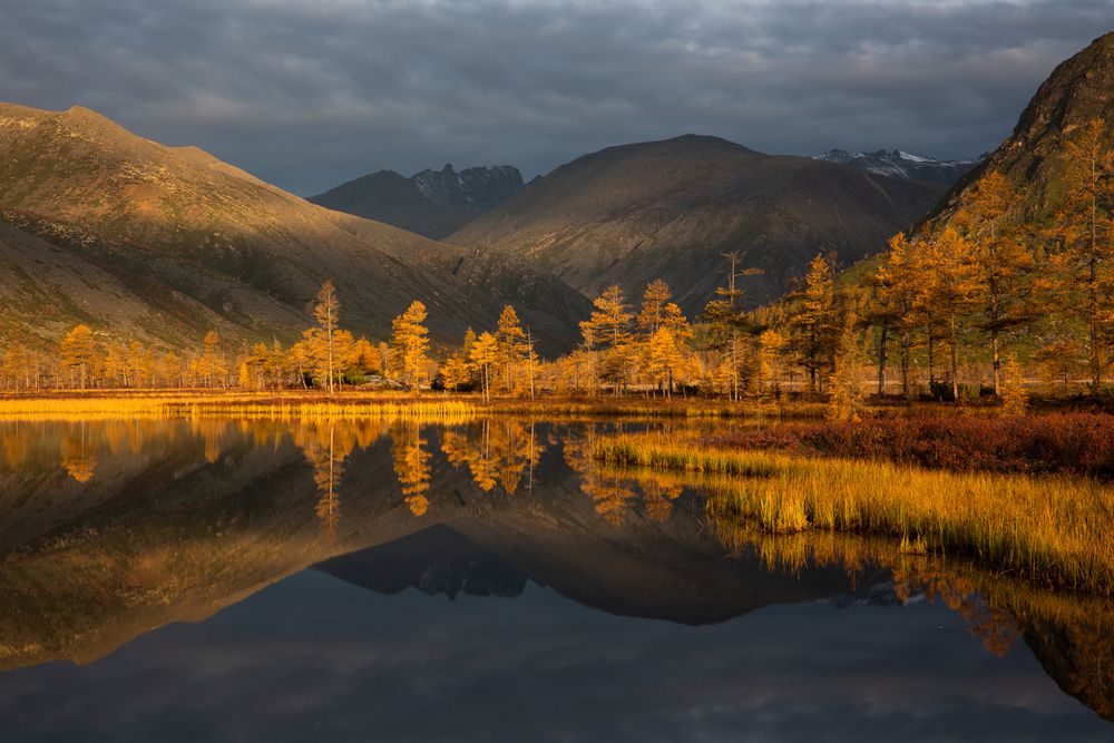 Photograph by Антон Селезнев