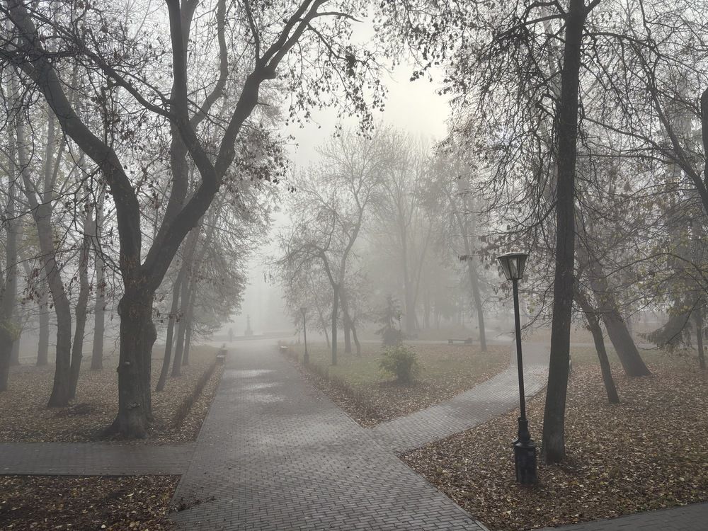 Photograph by Ирина