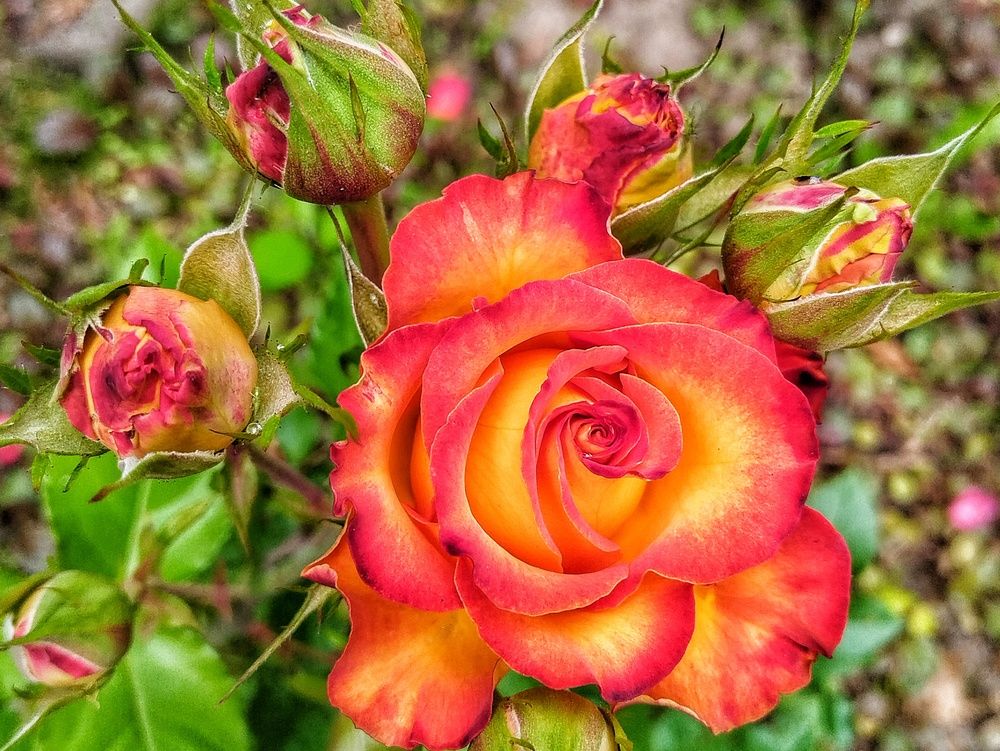 Photograph by Ирина Ермакович