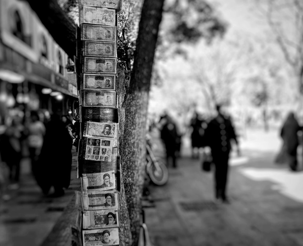 Money Tree