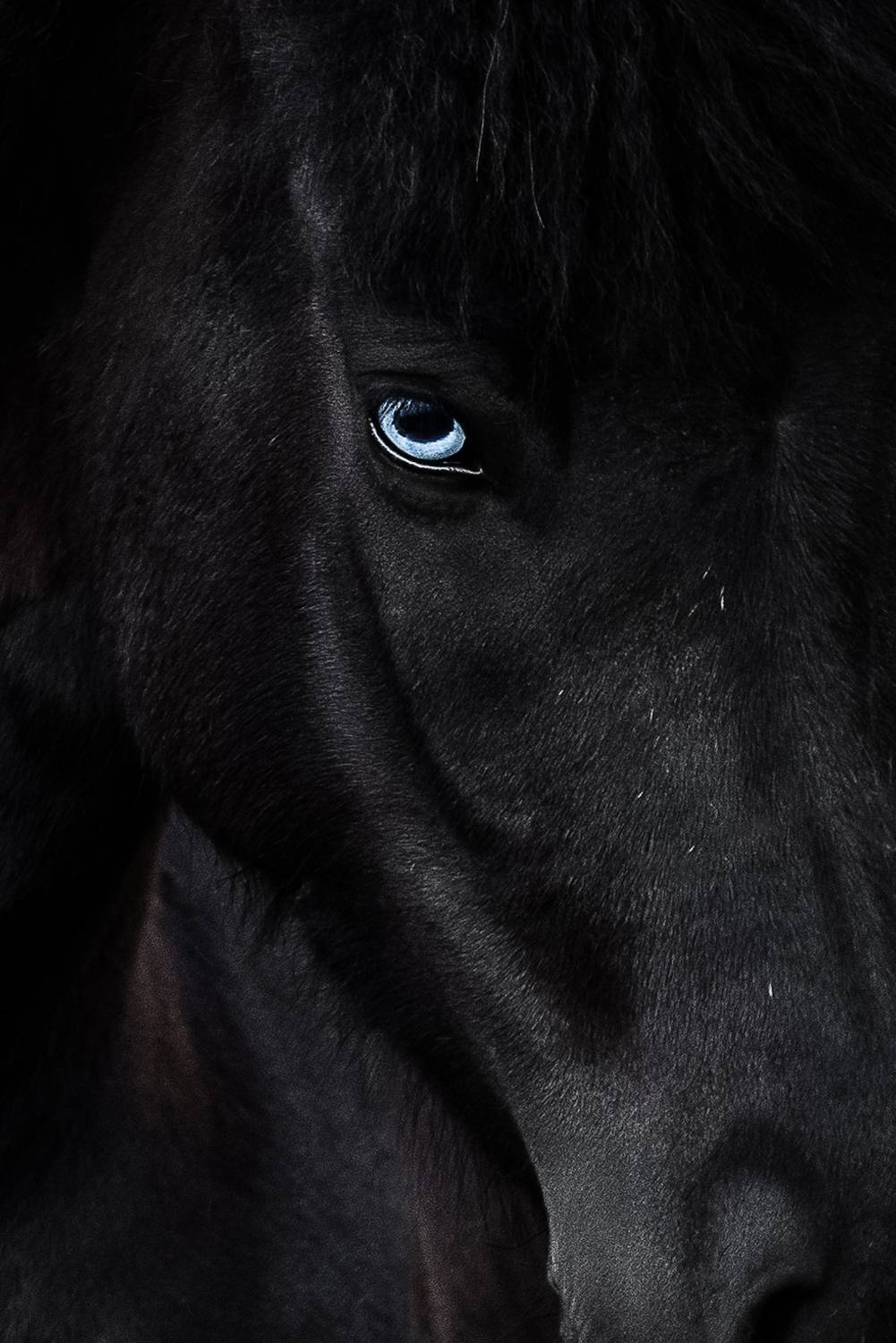 Photo #12760271