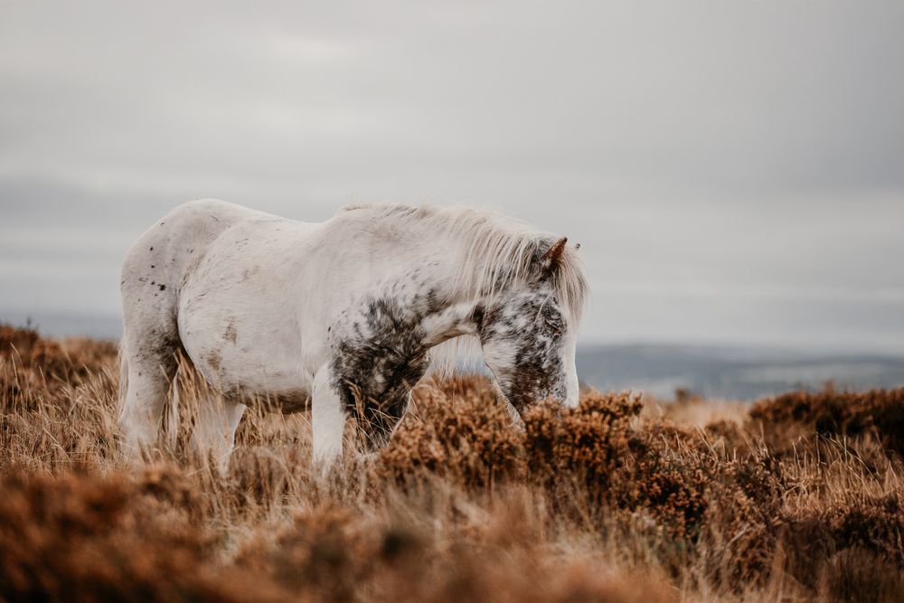 Photograph by Fabienne Gassmann