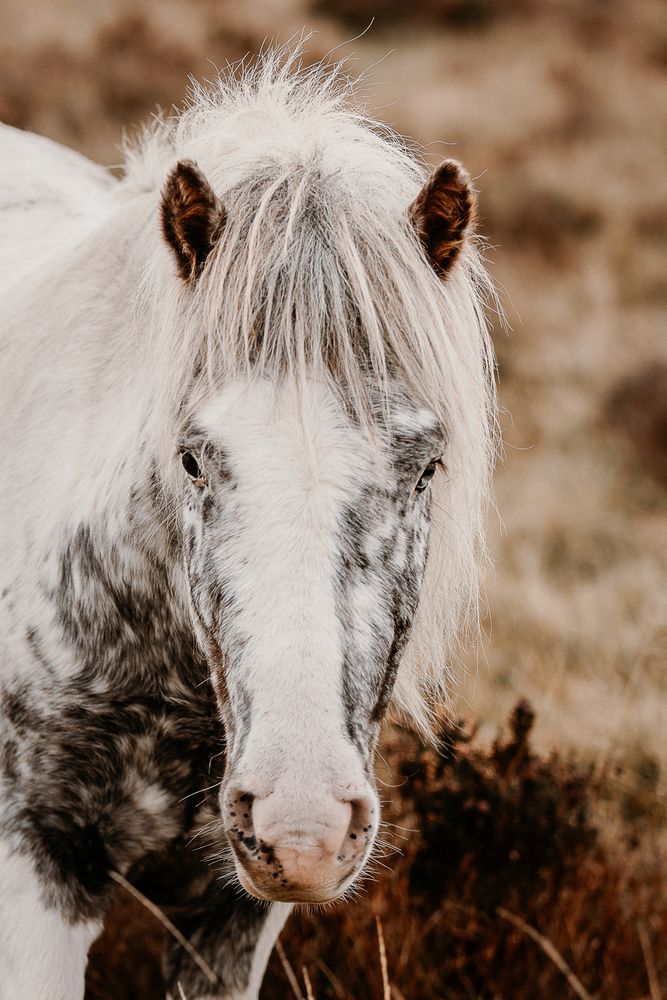 Photograph by Fabienne Gassmann