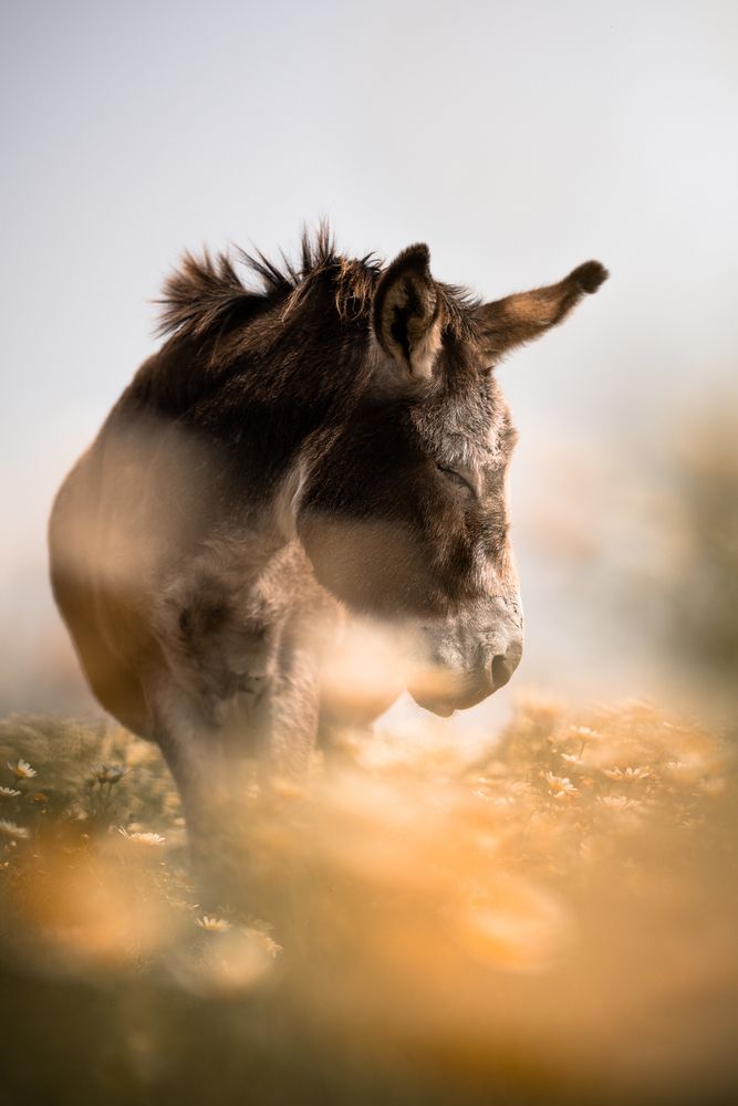 Photograph by Fabienne Gassmann
