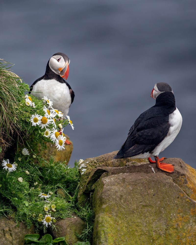 Photograph by Vladimir Ostapenko