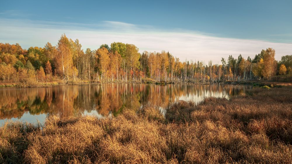 Фотография автора Boris Yakovlev