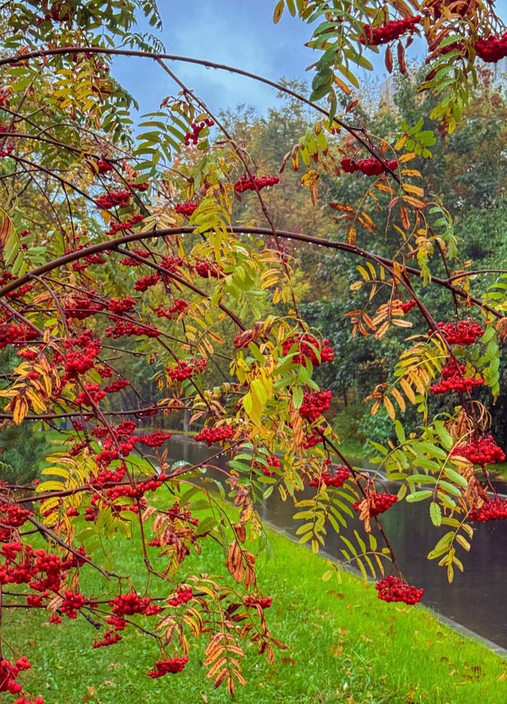 Photograph by Наталия Любчикова