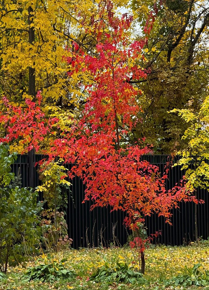 Photograph by Наталия Любчикова