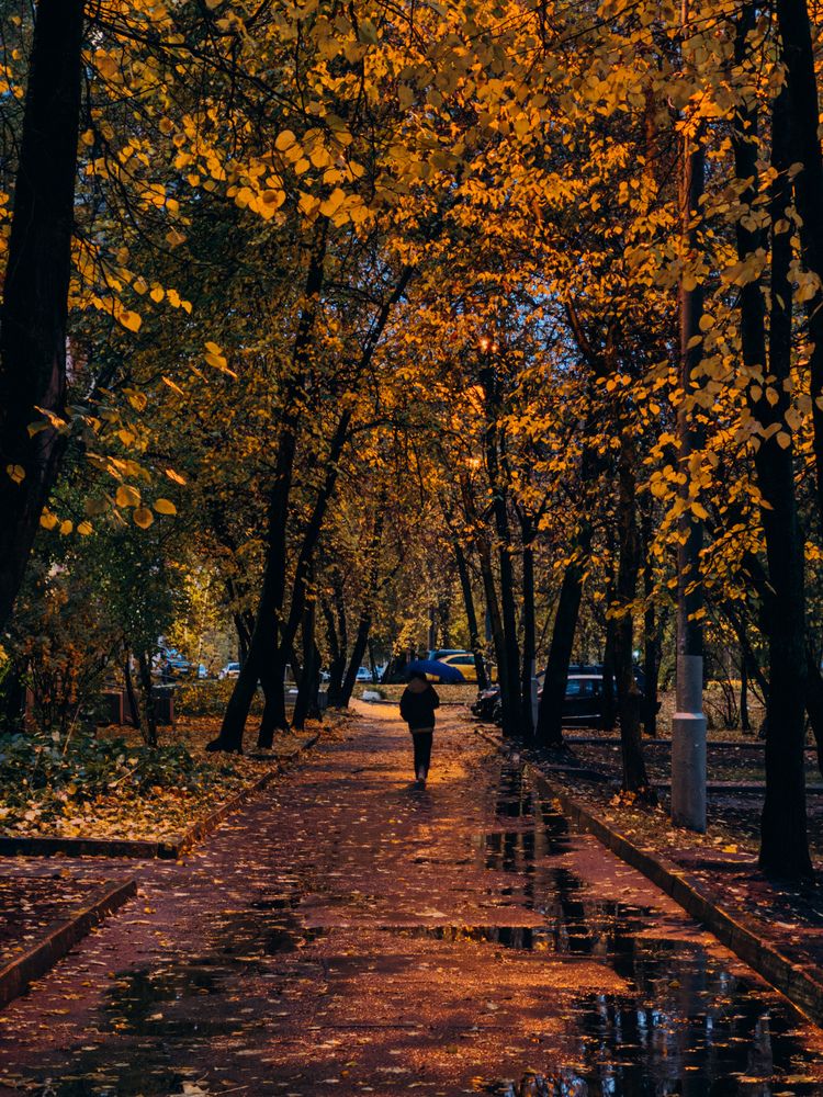 Фотография автора Марина Рябуха