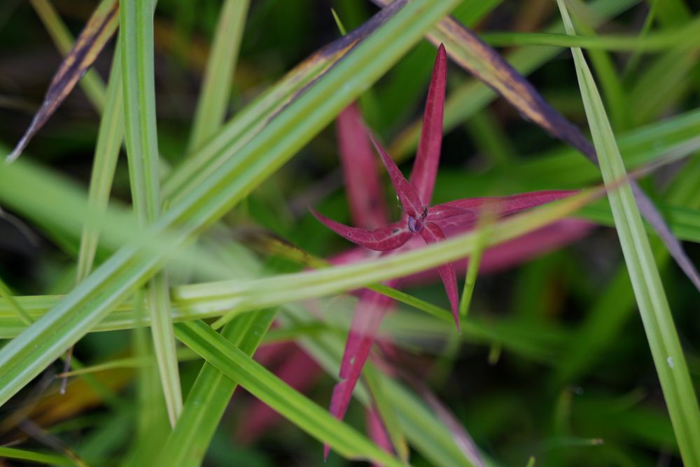 Photograph by Ирэна Ершова