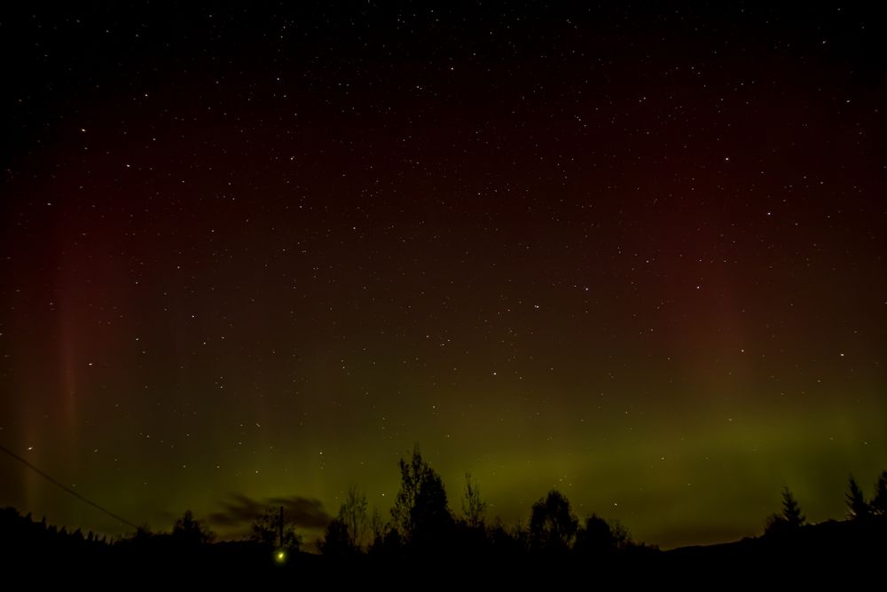 Photograph by Александр Суворов