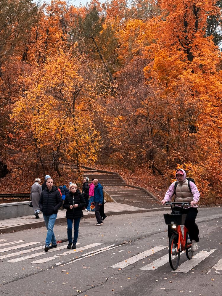 Фотография автора Евгения Сычкова