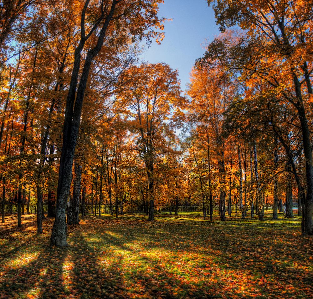 Photograph by Сергей Григорьев