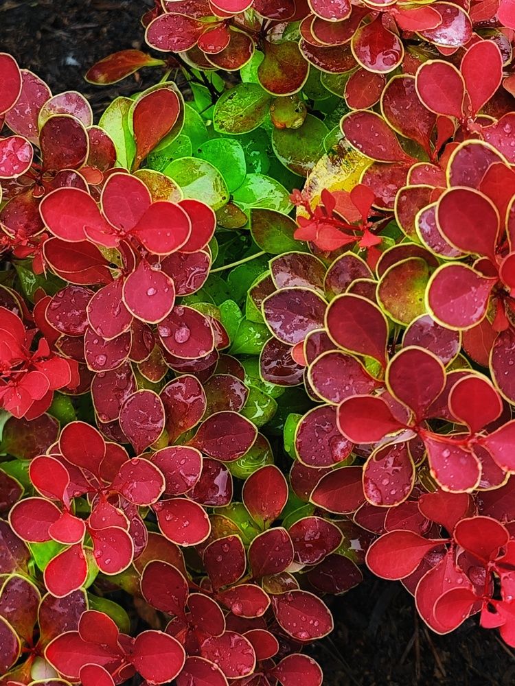 Фотография автора Наталья Силантьева