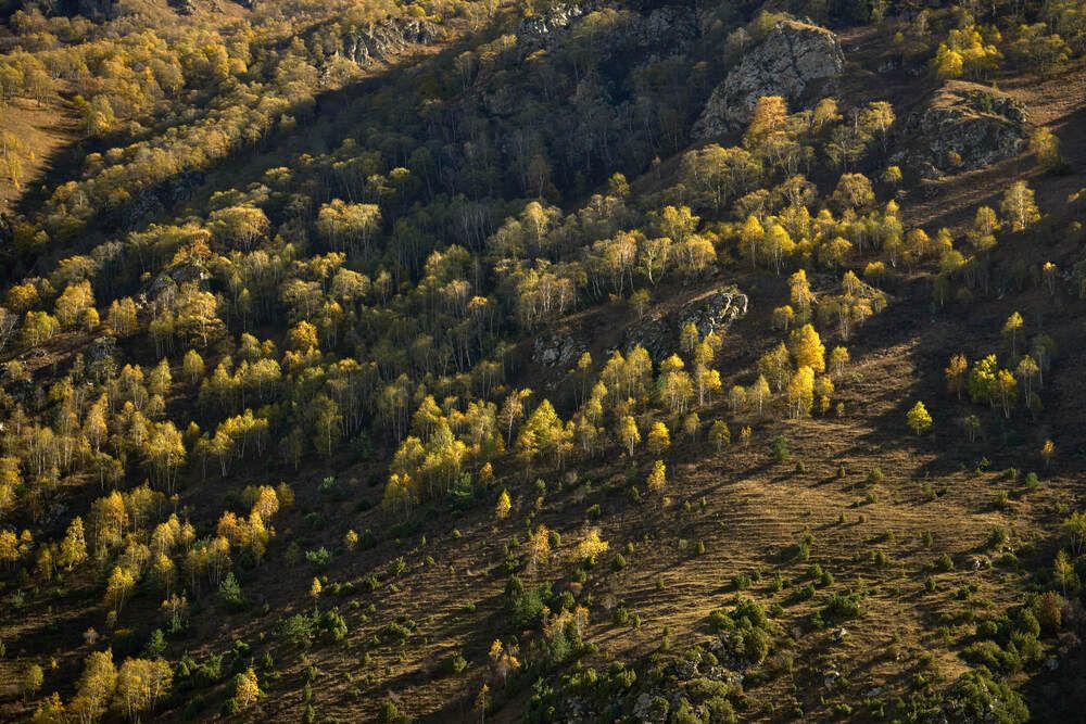 Фотография автора Dana Korolkova