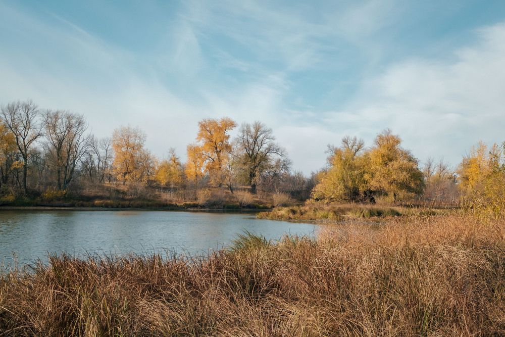 Photograph by Олег Дорошенко