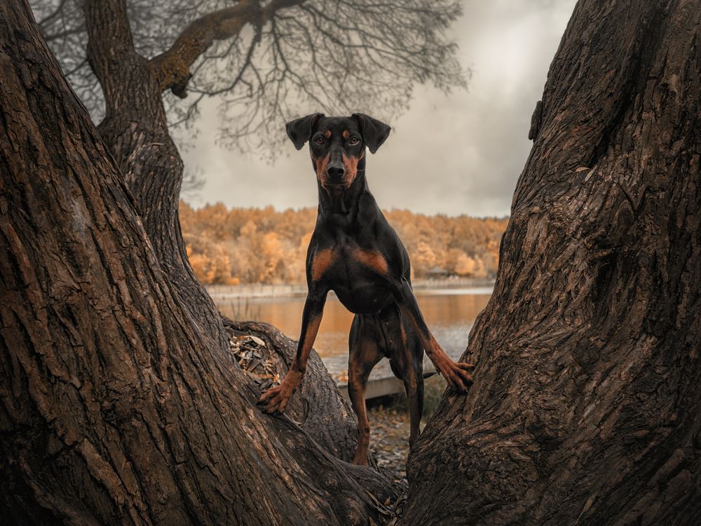 Фотография автора Васильева Светлана