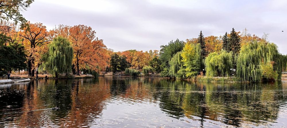 Осенний парк