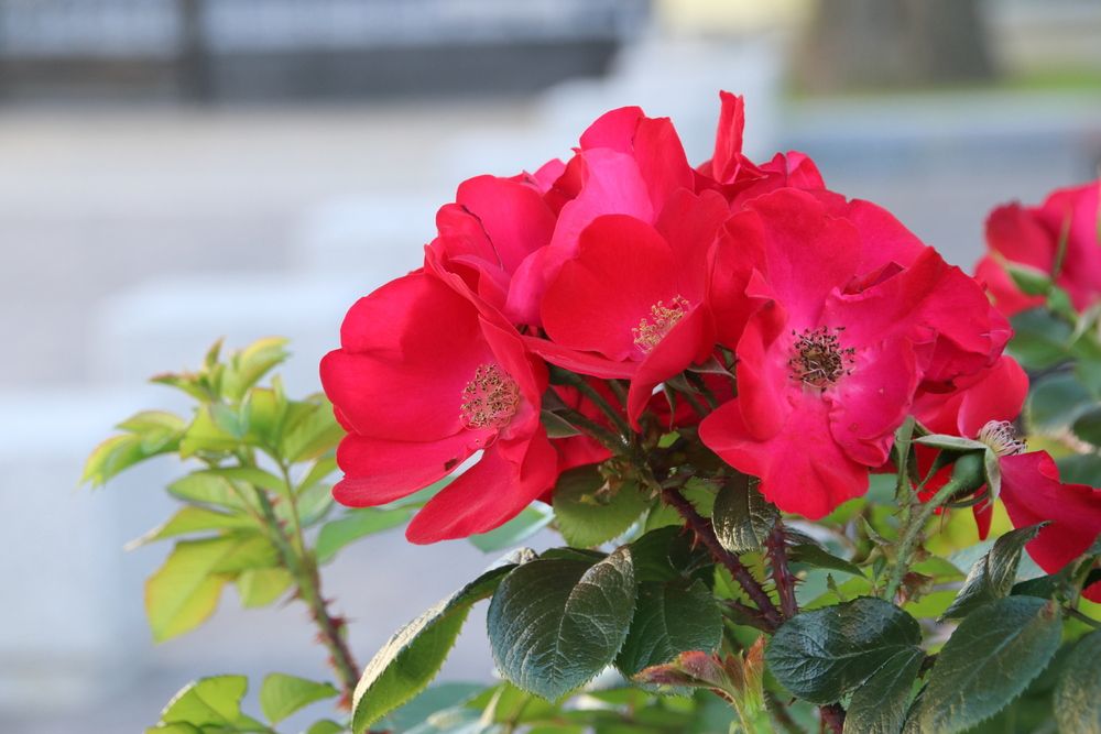 Photograph by Юрий Чистяков