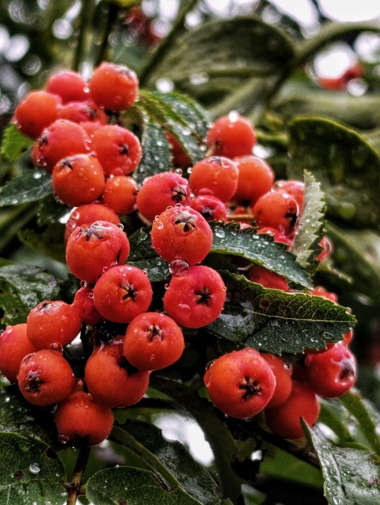 Фотография автора Юлия