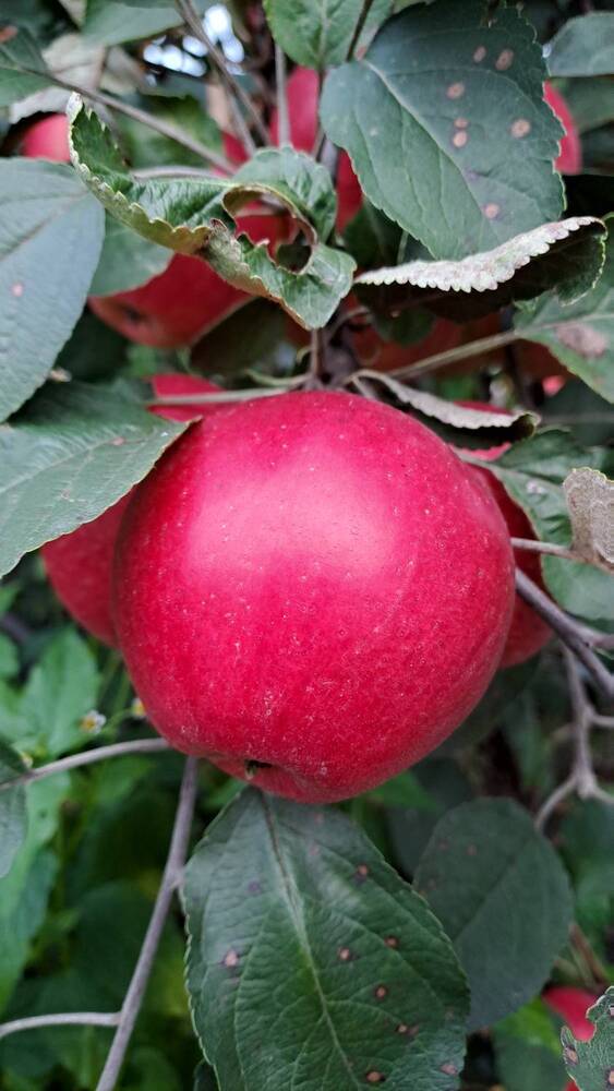 Photograph by Ирина Владимировна