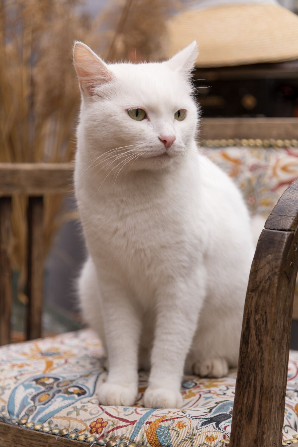 Photo #12760695