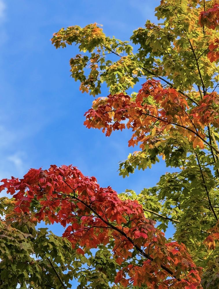 Photograph by Наталия Любчикова