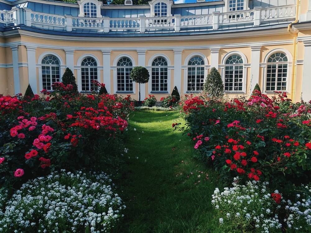 Photograph by Александра Пецевич